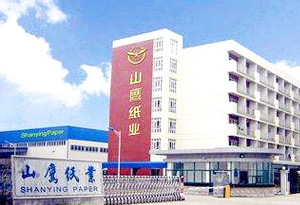 豐臺(tái)山鷹紙業(yè)公司